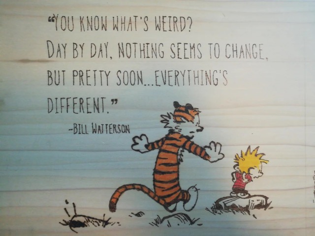Calvin and Hobbes